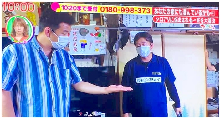 テレビ番組でもっこすファイヤーと共演するプログラントのスタッフ
